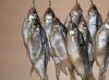 Why does a man dream of dried fish?