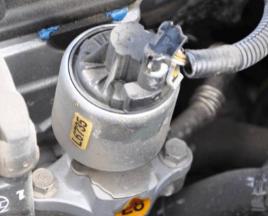 How to turn off the EGR valve on gasoline and diesel?
