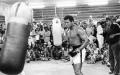 Legendary boxer Muhammad Ali dies